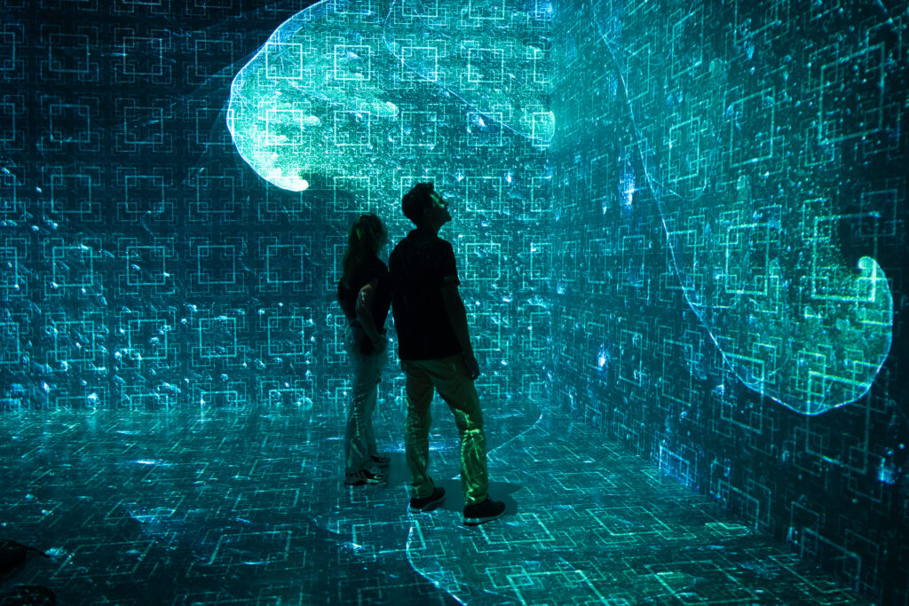 Artist Interviews & Collaboration